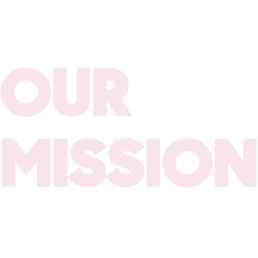 Mission - polsterreinigung Düsseldorf - polsterreinigung Dortmund - polsterreinigung Essen - polsterreinigung Duisburg - polsterreinigung Wuppertal - polsterreinigung Mönchengladbach